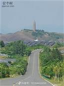 鸟雀林村 