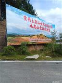 鸟雀林村 