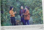 官后村 官后村
