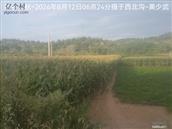 辽宁省,朝阳市,龙城区,半拉山街道,半拉山村