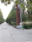 山东省,泰安市,东平县,新湖镇,西马庄村
