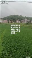 广东省,河源市,龙川县,龙母镇,大塘村