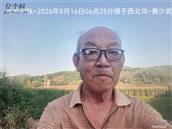 辽宁省,朝阳市,龙城区,半拉山街道,半拉山村