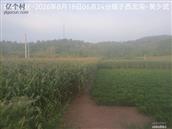 辽宁省,朝阳市,龙城区,半拉山街道,半拉山村
