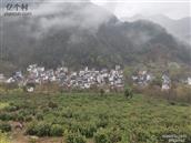 安徽省,黄山市,歙县,金川乡,查坑村