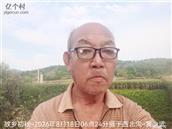 辽宁省,朝阳市,龙城区,半拉山街道,半拉山村