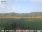 辽宁省,朝阳市,龙城区,半拉山街道,半拉山村