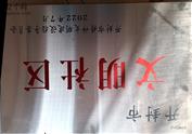 河南省,开封市,龙亭区,北郊乡,王坟村