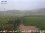辽宁省,朝阳市,龙城区,半拉山街道,半拉山村