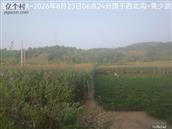辽宁省,朝阳市,龙城区,半拉山街道,半拉山村