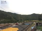河北省,石家庄市,井陉县,秀林镇,张家庄村