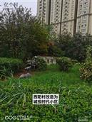 陕西省,咸阳市,秦都区,渭阳西路街道,西阳村