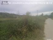辽宁省,朝阳市,龙城区,半拉山街道,半拉山村