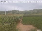 辽宁省,朝阳市,龙城区,半拉山街道,半拉山村