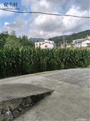 湖北省,十堰市,郧西县,香口乡,孟川村