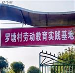 江苏省,泰州市,姜堰区,姜堰镇,罗塘社区