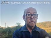 辽宁省,朝阳市,龙城区,半拉山街道,半拉山村