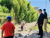 云南省,昭通市,永善县,码口乡,烟坪村