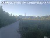 辽宁省,朝阳市,龙城区,半拉山街道,半拉山村