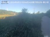辽宁省,朝阳市,龙城区,半拉山街道,半拉山村