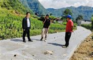云南省,昭通市,永善县,码口乡,烟坪村