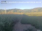 辽宁省,朝阳市,龙城区,半拉山街道,半拉山村