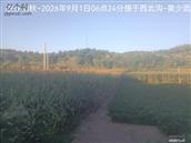 辽宁省,朝阳市,龙城区,半拉山街道,半拉山村