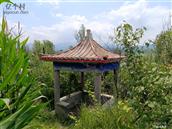 河北省,承德市,隆化县,偏坡营乡,靠山营村