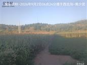辽宁省,朝阳市,龙城区,半拉山街道,半拉山村