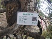 河北省,衡水市,冀州区,周村镇,中安店村