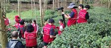 广西,钦州市,灵山县,平山镇,灵家村