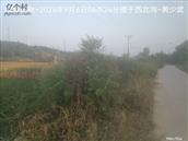 辽宁省,朝阳市,龙城区,半拉山街道,半拉山村