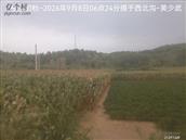 辽宁省,朝阳市,龙城区,半拉山街道,半拉山村