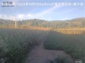 辽宁省,朝阳市,龙城区,半拉山街道,半拉山村