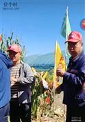 山西省,大同市,云州区,党留庄乡,罗庄村