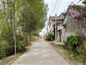 山东省,菏泽市,巨野县,万丰镇,白楼村