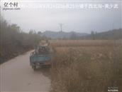 辽宁省,朝阳市,龙城区,半拉山街道,半拉山村