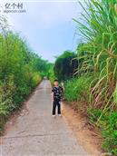 广西,贺州市,八步区,贺街镇,龙马村