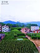 广西,贺州市,八步区,贺街镇,龙马村