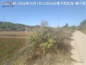 辽宁省,朝阳市,龙城区,半拉山街道,半拉山村