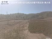 辽宁省,朝阳市,龙城区,半拉山街道,半拉山村