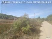 辽宁省,朝阳市,龙城区,半拉山街道,半拉山村
