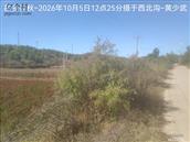 辽宁省,朝阳市,龙城区,半拉山街道,半拉山村