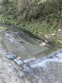 湖北省,十堰市,郧阳区,鲍峡镇,东沟村