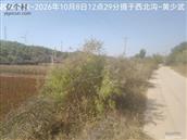 辽宁省,朝阳市,龙城区,半拉山街道,半拉山村