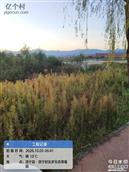 河南省,洛阳市,洛宁县,城郊乡,坞南村