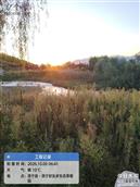 河南省,洛阳市,洛宁县,城郊乡,坞南村