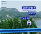 河南省,安阳市,安阳县,善应镇,西善应村