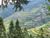 贵州省,黔东南州,锦屏县,固本乡,八一村