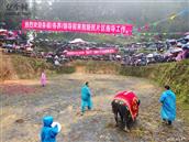 贵州省,黔东南州,锦屏县,固本乡,八一村